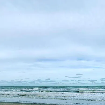In Near The Beach, Cleaning Included Lägenhet Nieuwpoort